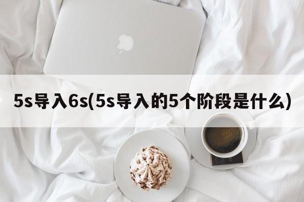 5s导入6s(5s导入的5个阶段是什么)